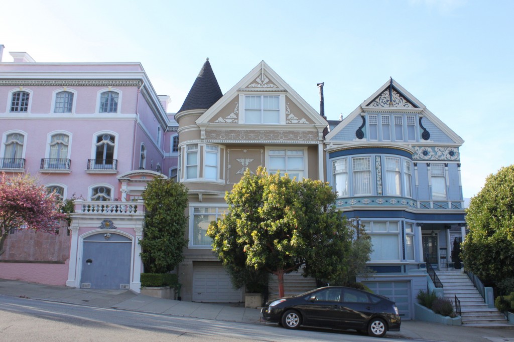 Painted Ladies Presidio 1