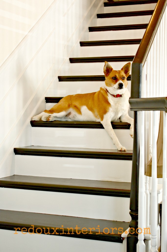 Black and white stairs with dog lounging redouxinteriors